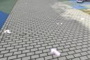 3d8930da-61e2-4e0d-a9eb-a19b2ad85b68